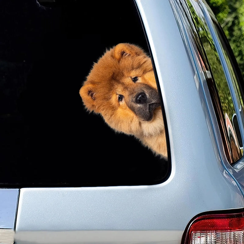 Chow Chow Dog - Peekaboo Dog Head Car Sticker - DS017