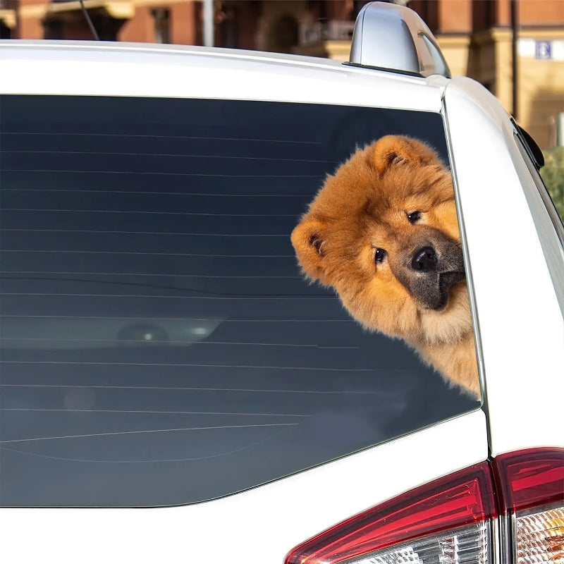 Chow Chow Dog - Peekaboo Dog Head Car Sticker - DS017
