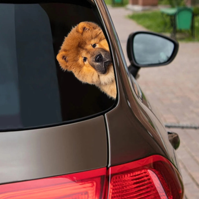 Chow Chow Dog - Peekaboo Dog Head Car Sticker - DS017