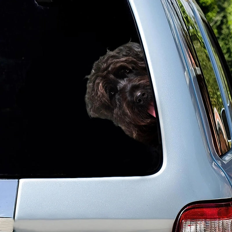 Bouvier Des Flandres Dog - Peekaboo Dog Head Car Sticker - DS019