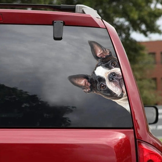 Boston Terrier Dog - Peekaboo Dog Head Car Sticker - DS020