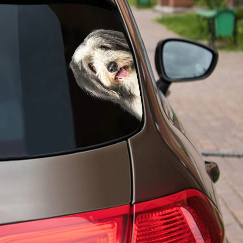 Bearded Collie Dog - Peekaboo Dog Head Car Sticker - DS022