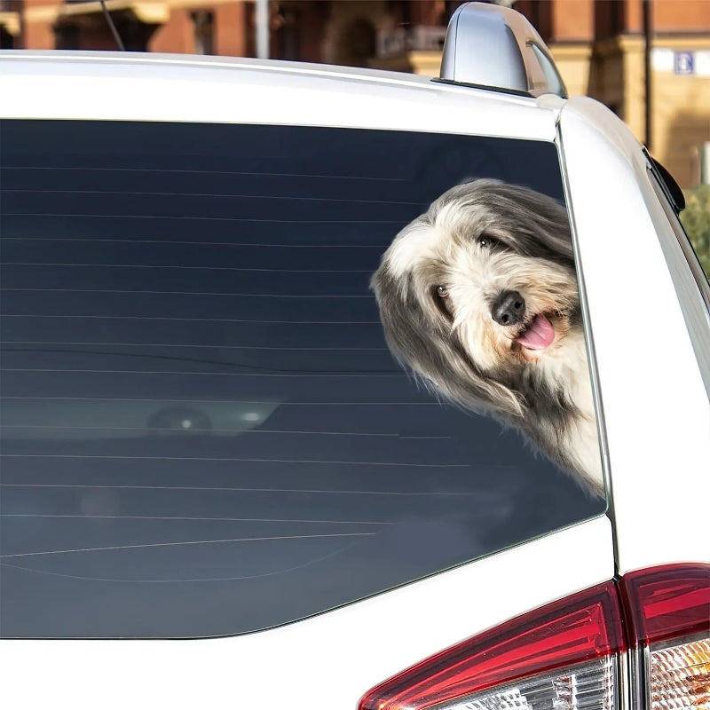 Bearded Collie Dog - Peekaboo Dog Head Car Sticker - DS022