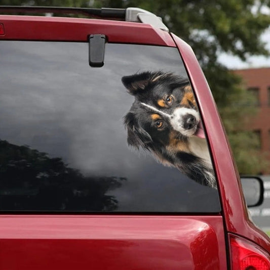 Australian Shepherd Dog - Peekaboo Dog Head Car Sticker - DS024