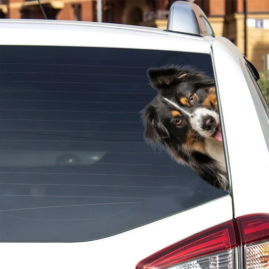 Australian Shepherd Dog - Peekaboo Dog Head Car Sticker - DS024