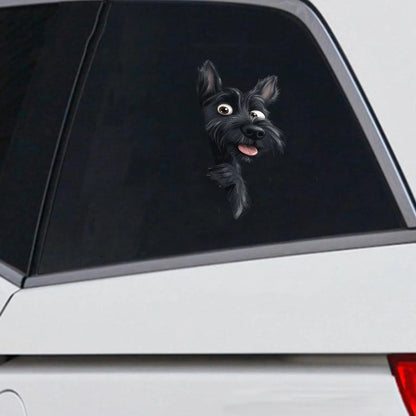 Scottish Terrier Dog - Peekaboo Dog Head Car Sticker - DS027