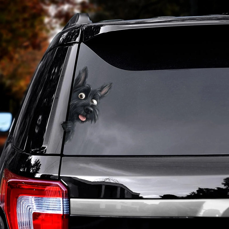 Scottish Terrier Dog - Peekaboo Dog Head Car Sticker - DS027