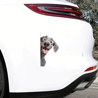 Weimaraner Dog - Peekaboo Dog Head Car Sticker - DS030