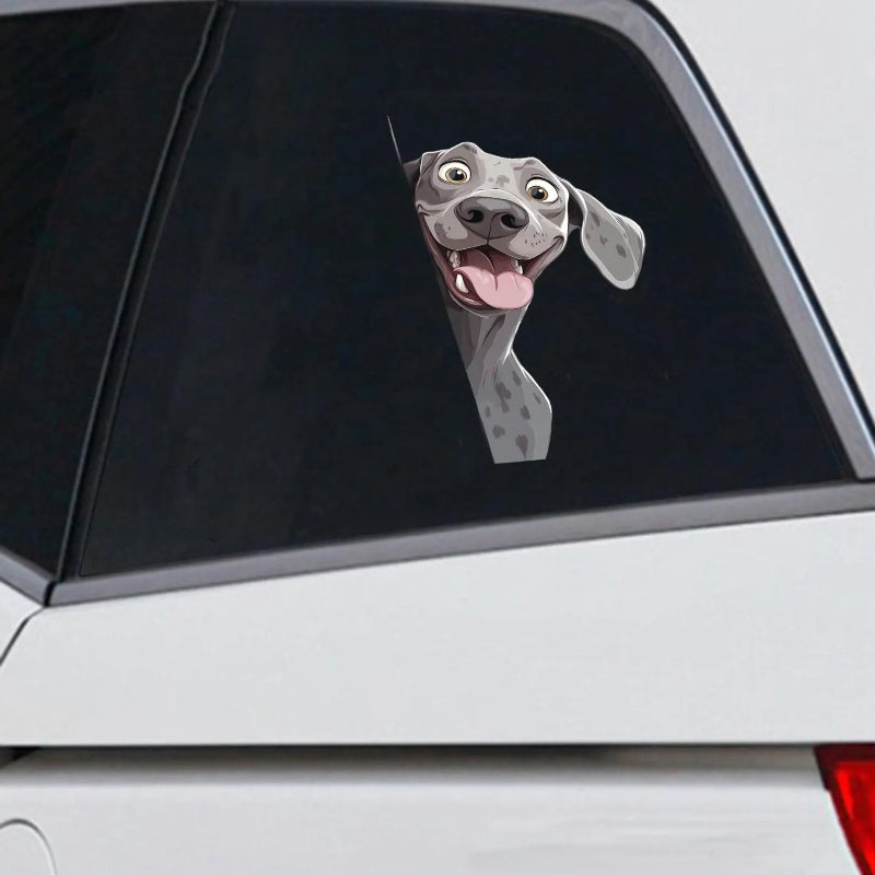 Weimaraner Dog - Peekaboo Dog Head Car Sticker - DS030