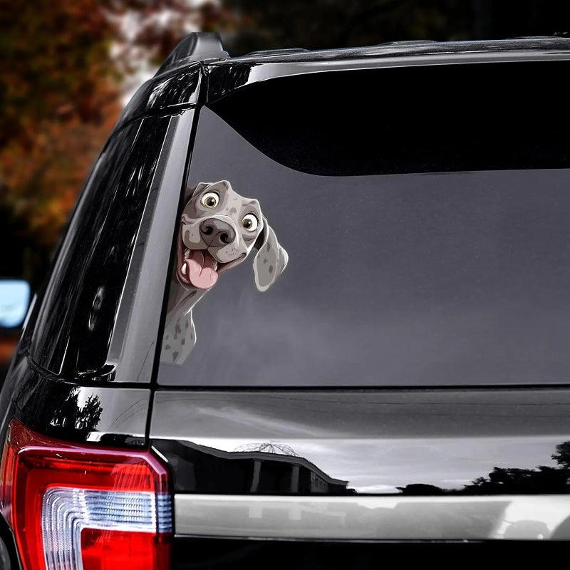 Weimaraner Dog - Peekaboo Dog Head Car Sticker - DS030