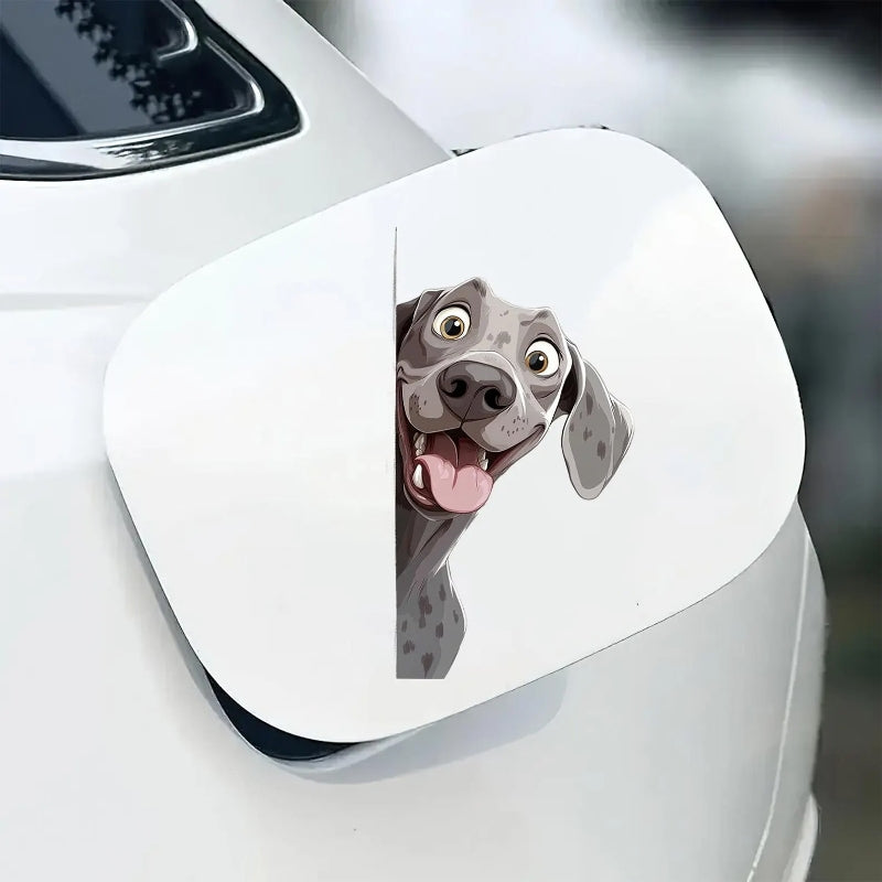 Weimaraner Dog - Peekaboo Dog Head Car Sticker - DS030