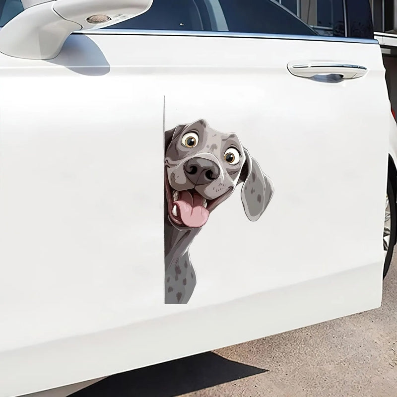Weimaraner Dog - Peekaboo Dog Head Car Sticker - DS030