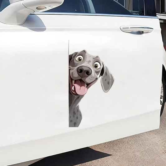 Weimaraner Dog - Peekaboo Dog Head Car Sticker - DS030