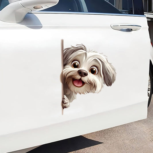 Havanese Dog - Peekaboo Dog Head Car Sticker - DS037