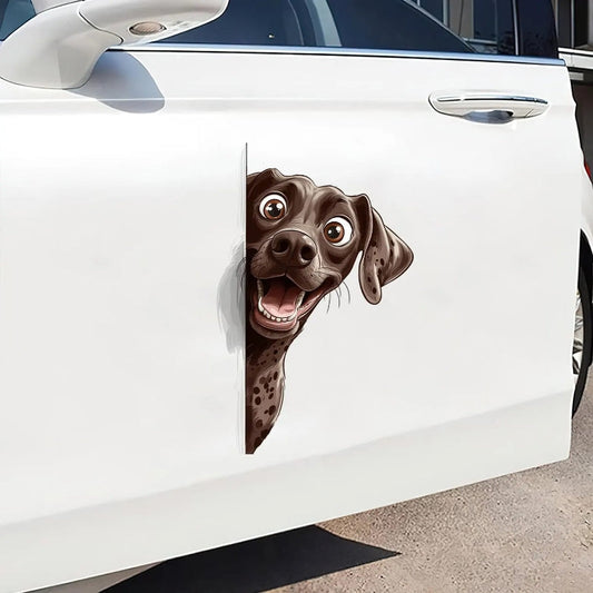 German Shorthaired Pointer Dog - Peekaboo Dog Head Car Sticker - DS042
