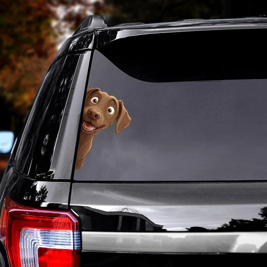 Chesapeake Bay Retriever Dog - Peekaboo Dog Head Car Sticker - DS044