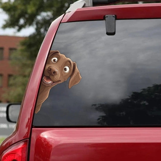 Chesapeake Bay Retriever Dog - Peekaboo Dog Head Car Sticker - DS044