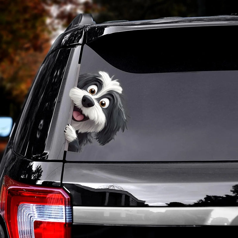 Bearded Collie Dog - Peekaboo Dog Head Car Sticker - DS048