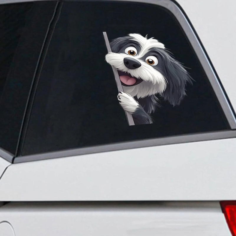 Bearded Collie Dog - Peekaboo Dog Head Car Sticker - DS048