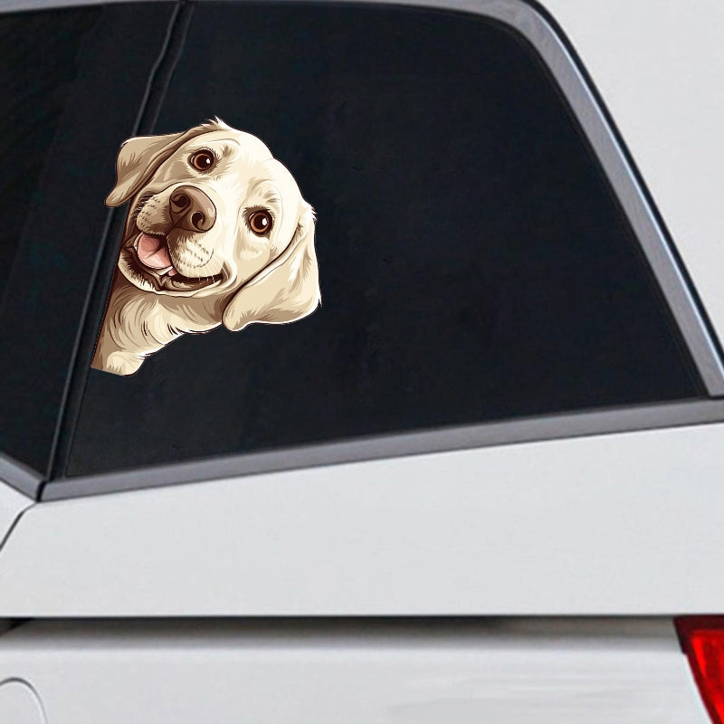 Labrador Dog - Peekaboo Dog Head Car Sticker - DS054