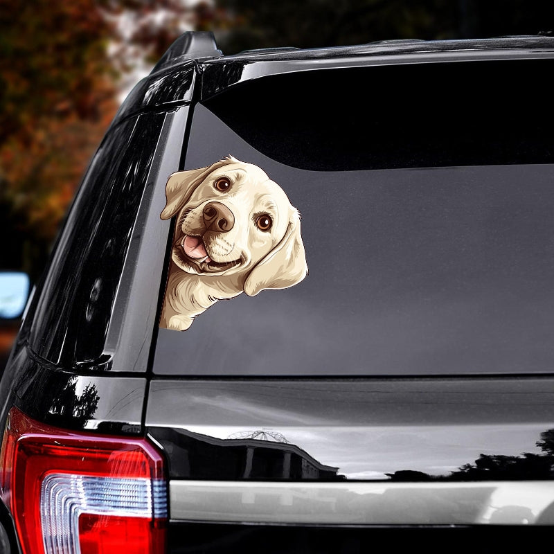 Labrador Dog - Peekaboo Dog Head Car Sticker - DS054