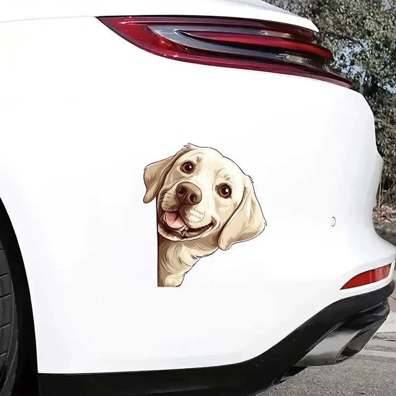 Labrador Dog - Peekaboo Dog Head Car Sticker - DS054