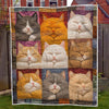 Cozy Cat Dreams Blanket - H221 - Premium Blanket