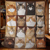 Sleepy Cat Haven Blanket - H259 - Premium Blanket