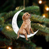 Golden Retriever Sit On The Moon Ornament MO008