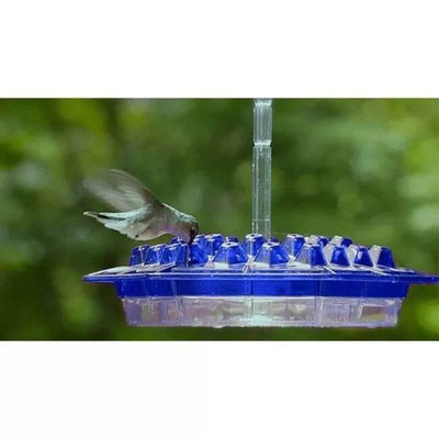 Mary's Hummingbird Feeder With Perch and Built-in Ant Moat