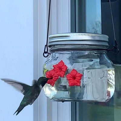 Beautiful Mason Jar Hummingbird Feeder w / Three Ports