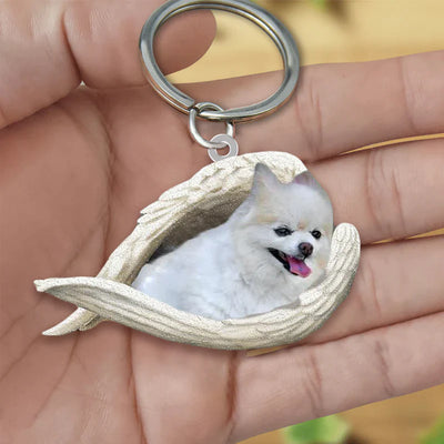 Sleeping Angel Acrylic Keychain Pomeranian02