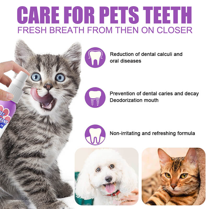 Teeth Cleaning Spray for Dogs & Cats, Eliminate Bad Breath, Targets Tartar & Plaque, Without Brushing